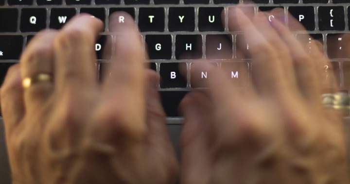 Online voting ‘more inclusive’ for residents, Woodstock mayor says