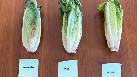 Are You Planning to Use Produce Bags? I Tested 3 to See if They Actually Work