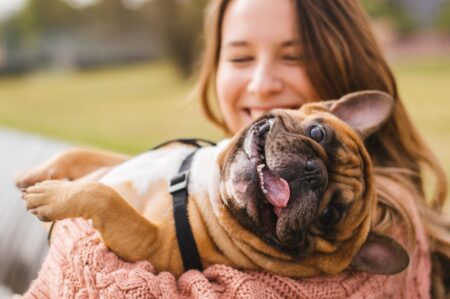 Dog owners reveal how far their relationships are with their pets, new survey shows