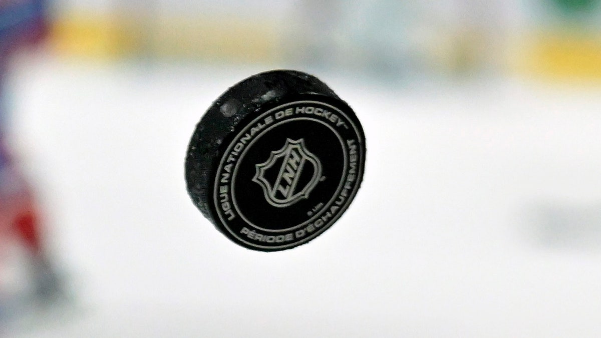 NHL puck 