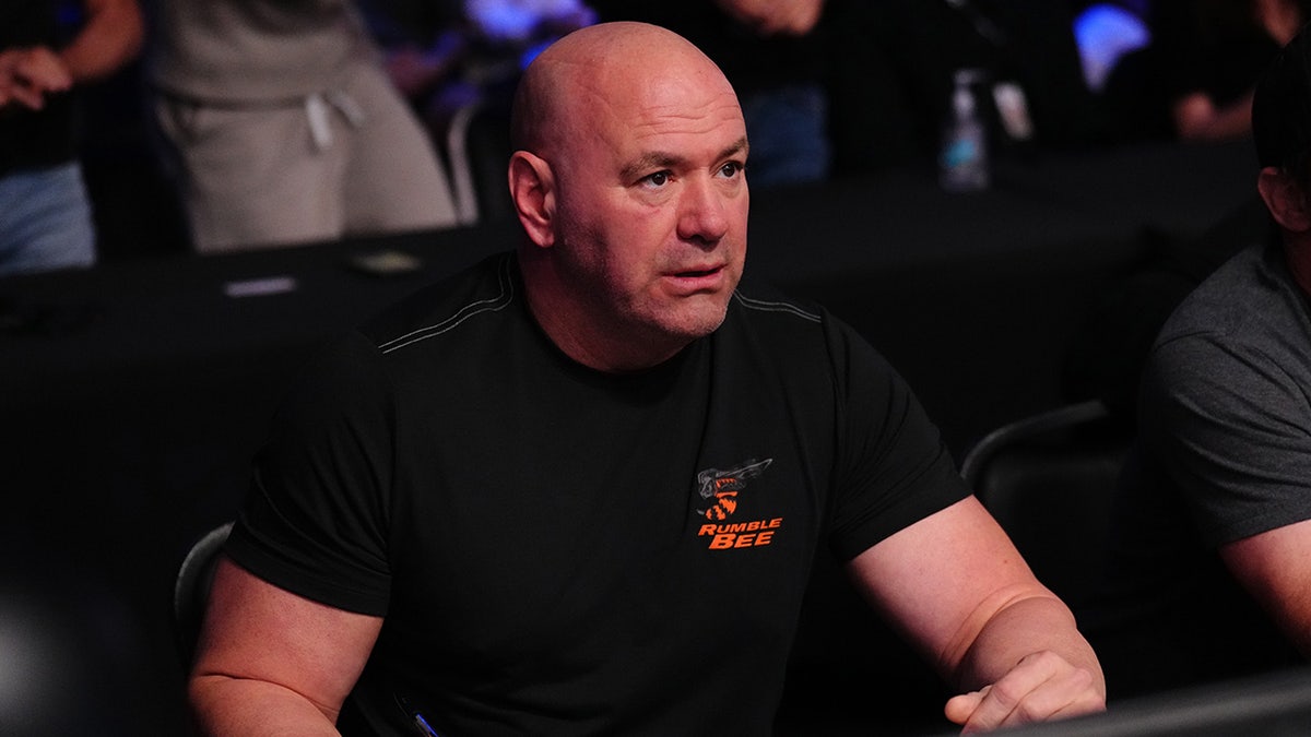 Dana White at a bantamweight fight