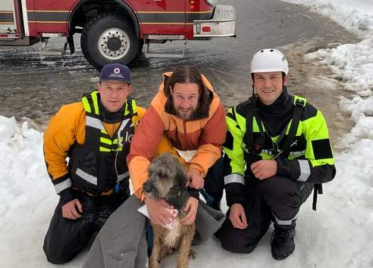Dog rescued in Whistler, B.C. after falling through lake ice