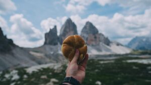 For a gourmet trip, follow these foodie trails around Europe