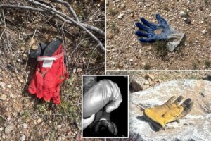 Exclusive | Multiple additional gloves found by The Post in same area near Nancy Guthrie’s house where FBI found potential evidence