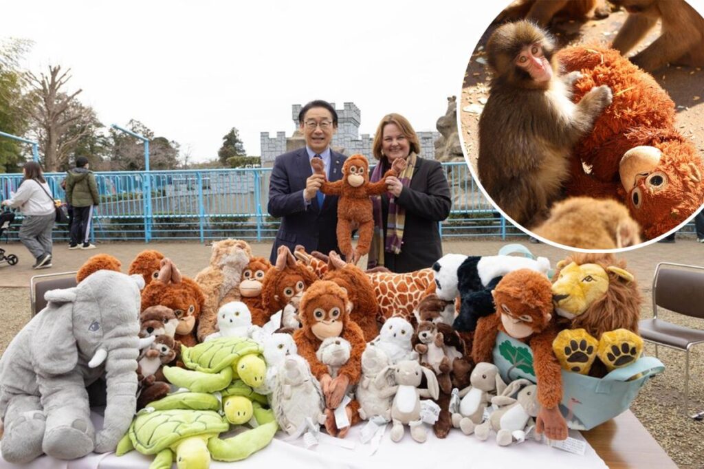 IKEA donates plush toys to viral baby monkey Punch — and you can get one for yourself for $20