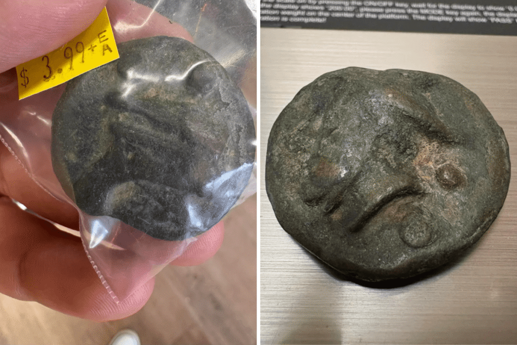 Man Pays $3.99 for Thrift Store Item—Expert Reveals It’s 2,200 Years Old