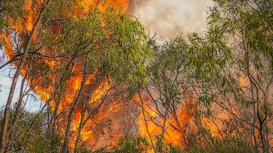 Dunsborough bushfire February 2025. generic fire bushfire firefighters WA