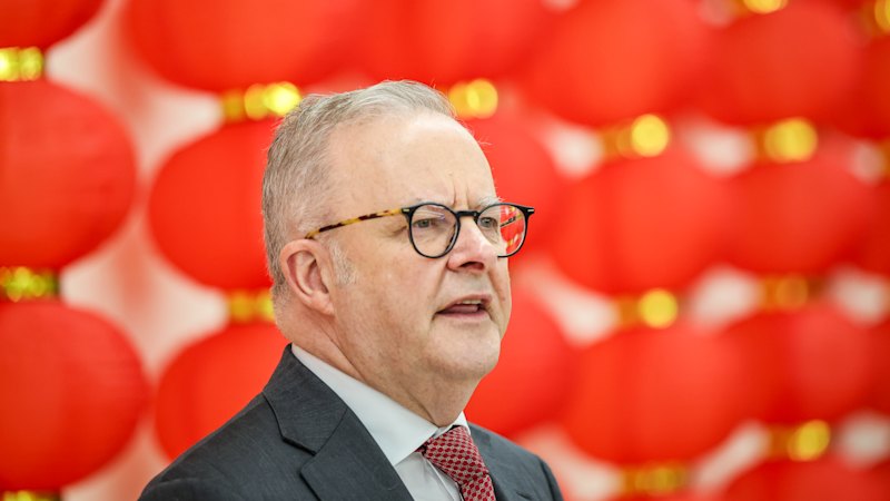 Our women in Syria should have support they deserve