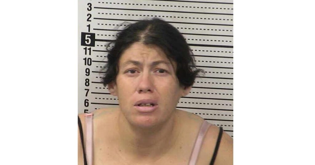 Newborn Drowned After Mom Allegedly ‘Dropped’ Her Into Portable Toilet, Then Left in New Mexico