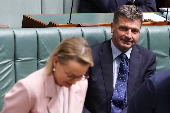 Opposition Leader Sussan Ley  and leadership rival Angus Taylor.