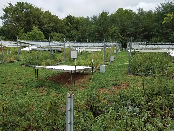 Infrared lamps on stilts in a small field.