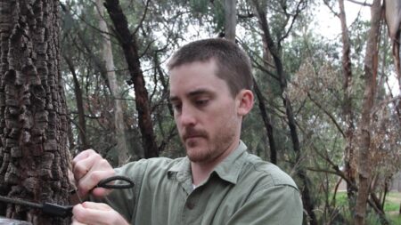 Funding delays leave scientists despondent about the future