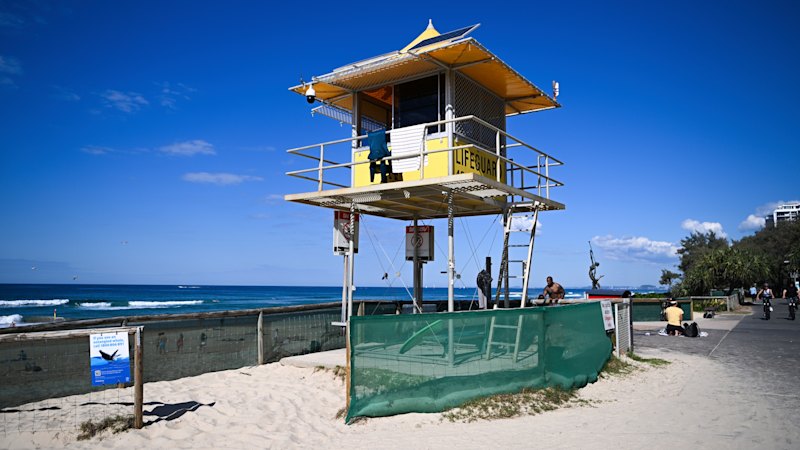 Body of Gold Coast tourist missing in surf overnight recovered
