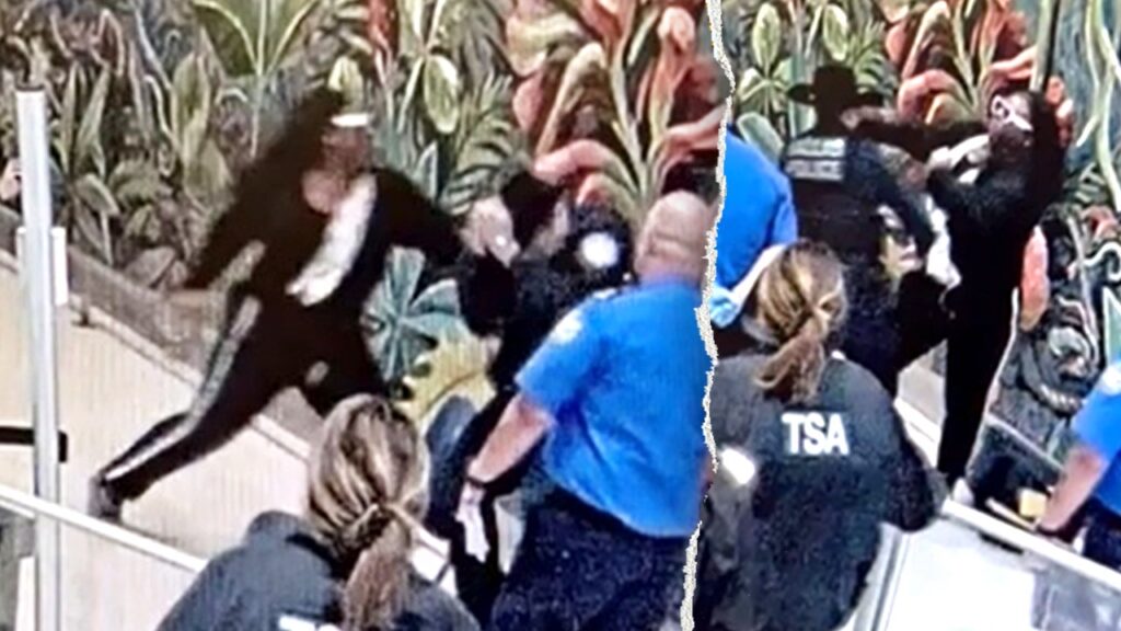 Man accused of attacking TSA officers, seriously injuring Dallas cop at airport