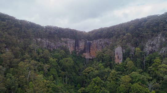 Springbrook National Park is a popular destination for hikers.