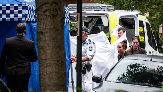 A man accused of assaulting two women has been shot dead by police in Potts Point.