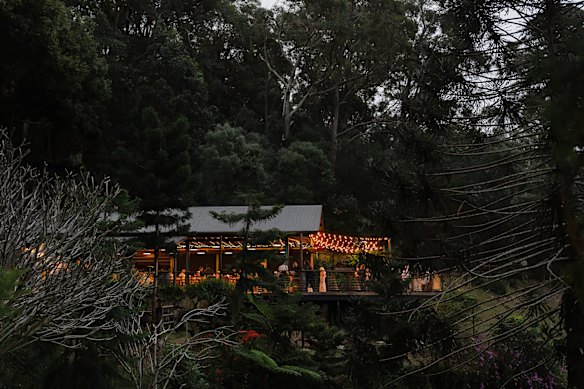 Rainforest Gardens is a wedding venue run by Williams’ family.