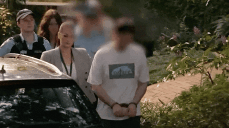 Newington College teacher Benjamin David Collinge allegedly groomed teenage girl online