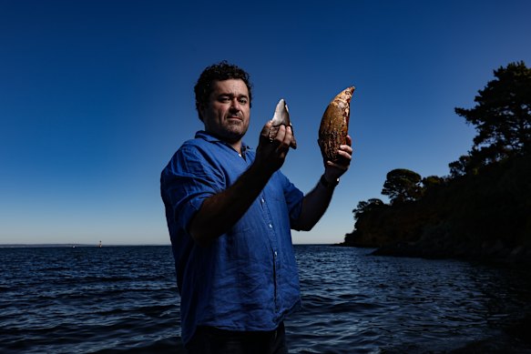 Enlightening finds: Palaeontologist Ben Francischelli at Beaumaris holding Otodus megalodon (giant shark) and Livyatan (killer sperm whale) teeth.