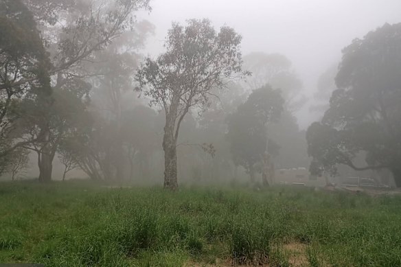 The Little Styx River Campground in northern NSW.