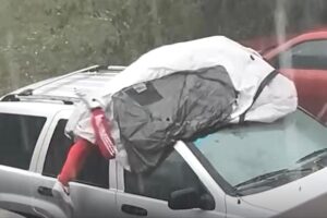 Florida man uses his body as shield against hailstorm in wild video: ‘Yes, it hurt’