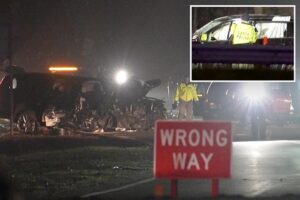 Elderly couple killed when wrong-way driver torpedoes over Long Island highway median