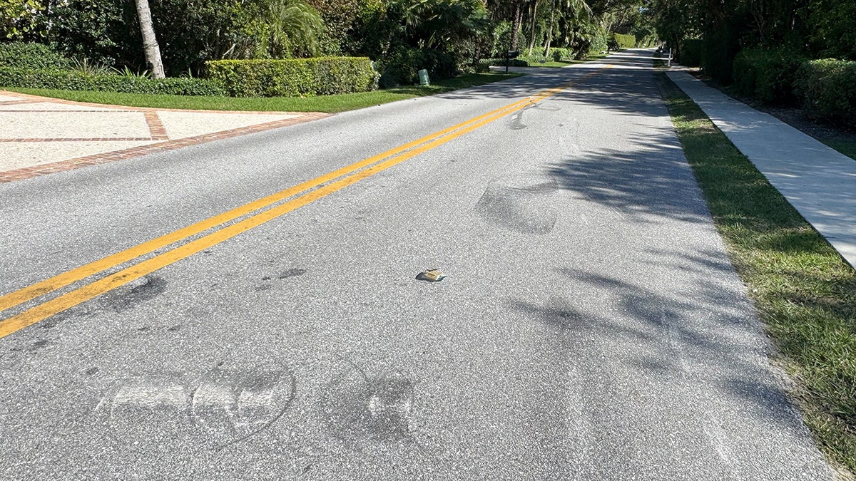 Skid marks on road