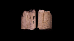 The oldest known dice in the world are roughly 12,000 years old