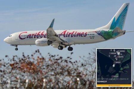 Caribbean Airlines passenger gives birth aboard NY-bound flight — as airport officials suggest crafty name for newborn