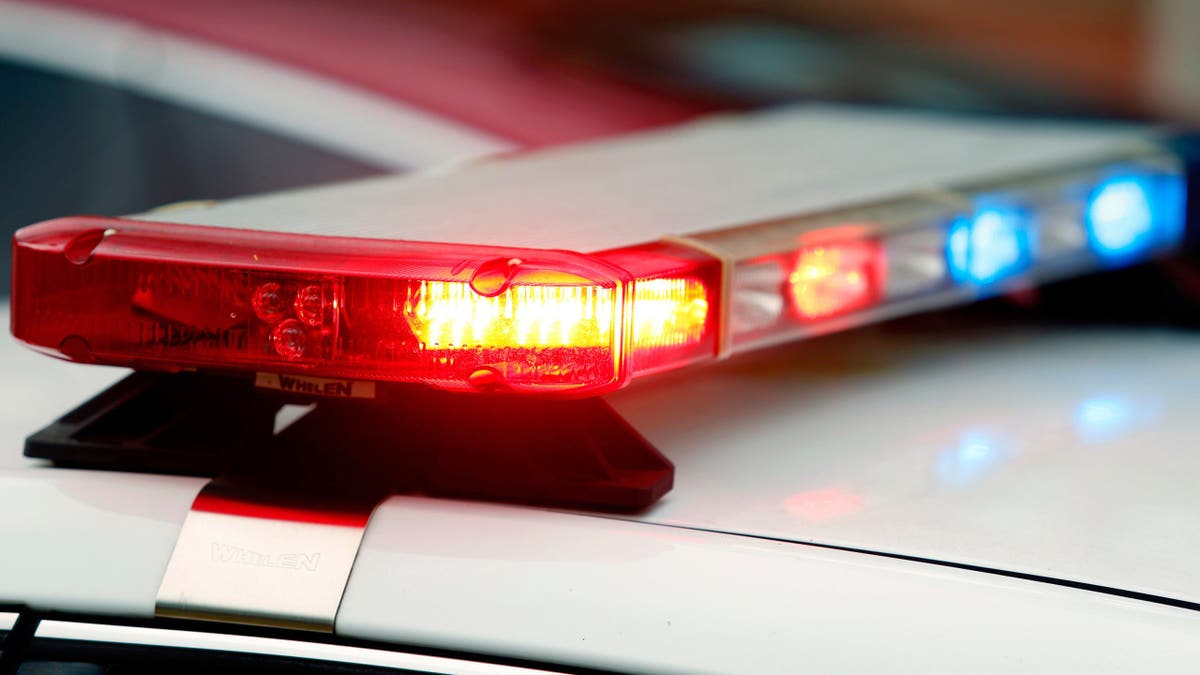 Police car lights flashing at night