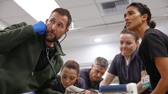 Noah Wyle in The Pitt which is considered an example of “competency porn”.