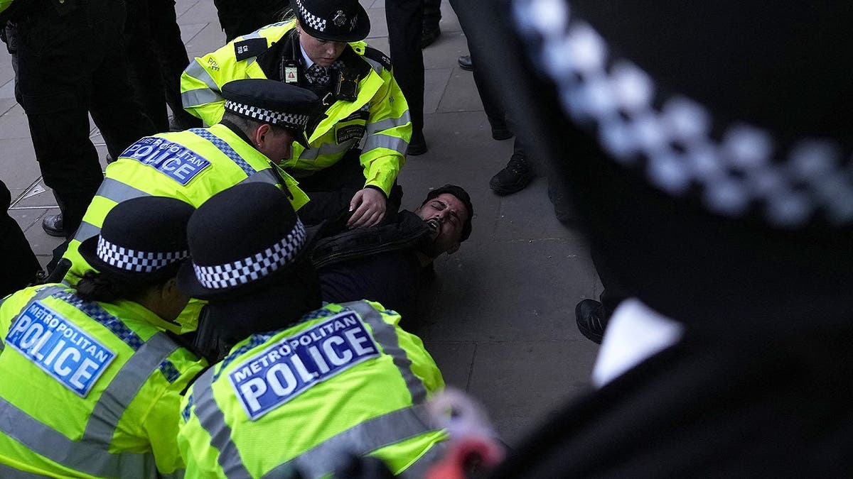 Police arrest a demonstrator during a rally