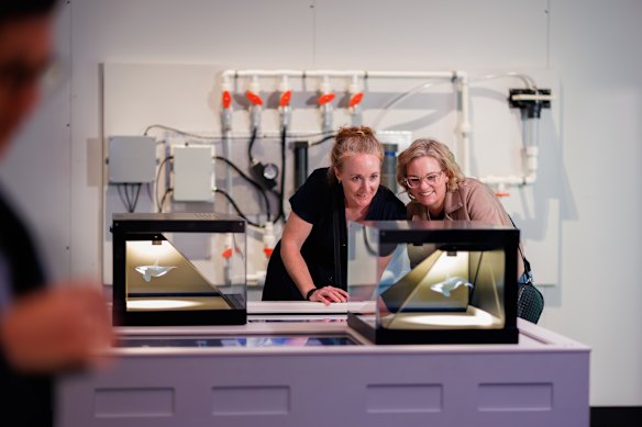 The OceanXperience gives visitors the chance to see what life is like on the OceanXplorer ship.