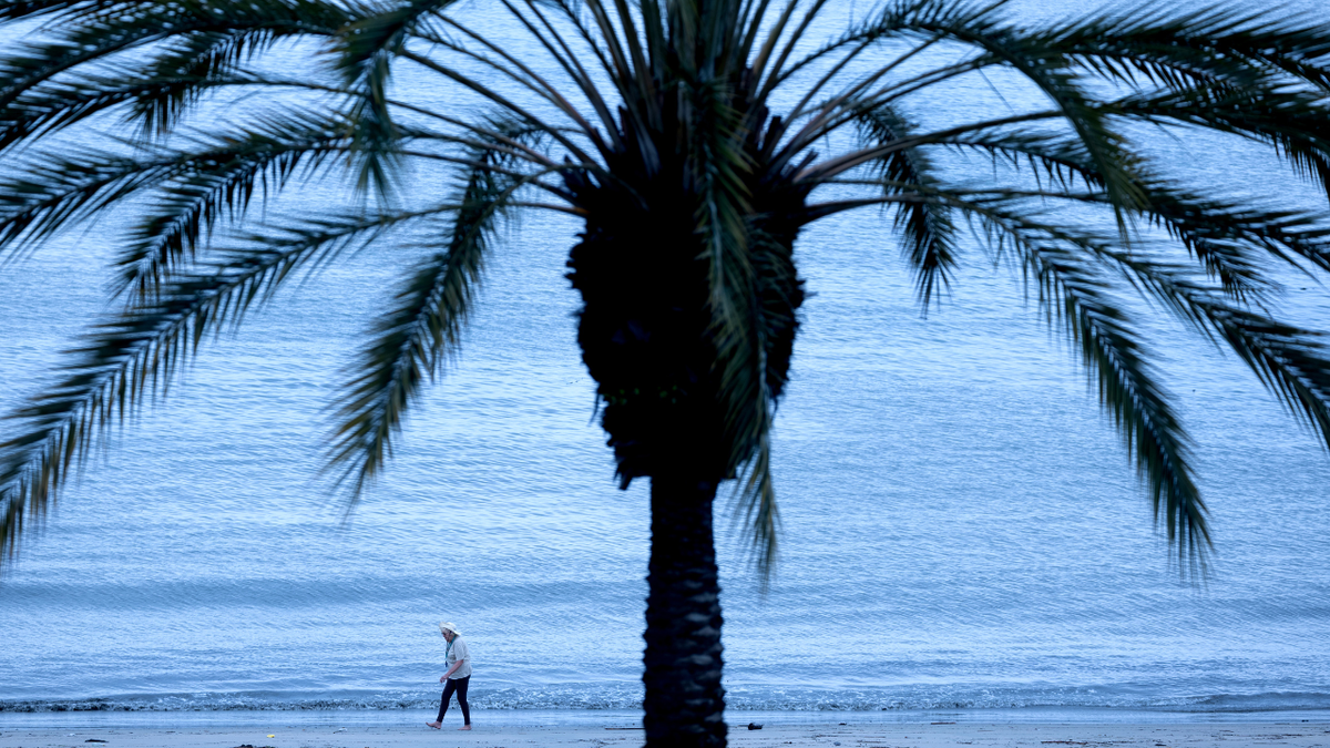 A person is seen walking along the shore of Long Beach in California.