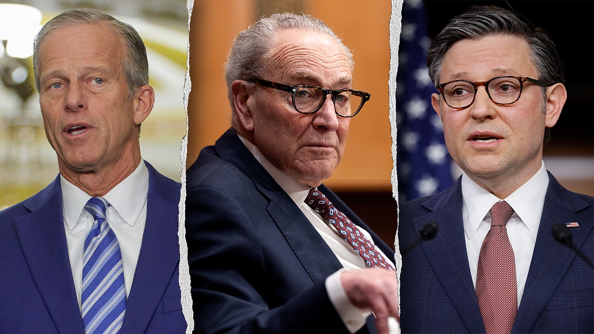 Split image of John Thune, Chuck Schumer and Mike Johnson