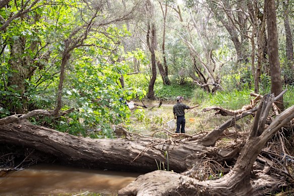 The Bibbul Ngarma Aboriginal Association are working on a long-term river restoration program at the Mandoon Bilya (Helena River).