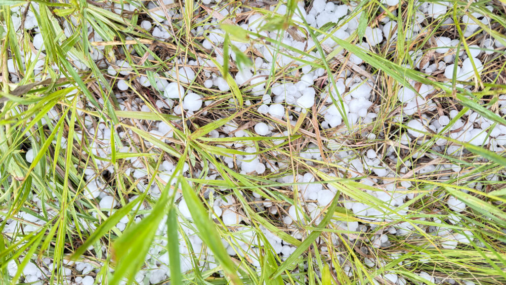 Grapefruit-sized hail may become more common in a warmer world