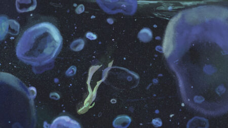What freediving can reveal about human health — and our limits