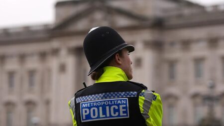 UK police open to probe Mountbatten-Windsor sexual misconduct claim