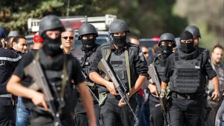 Swedish organised crime kingpin arrested in Tunisia, police say