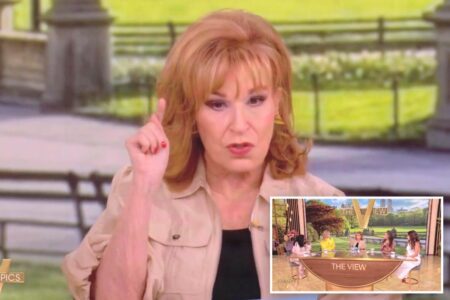 ‘The View’ host Joy Behar slammed over ‘toxic and divisive’ Trump jab: ‘He wants toddler white nationalists’