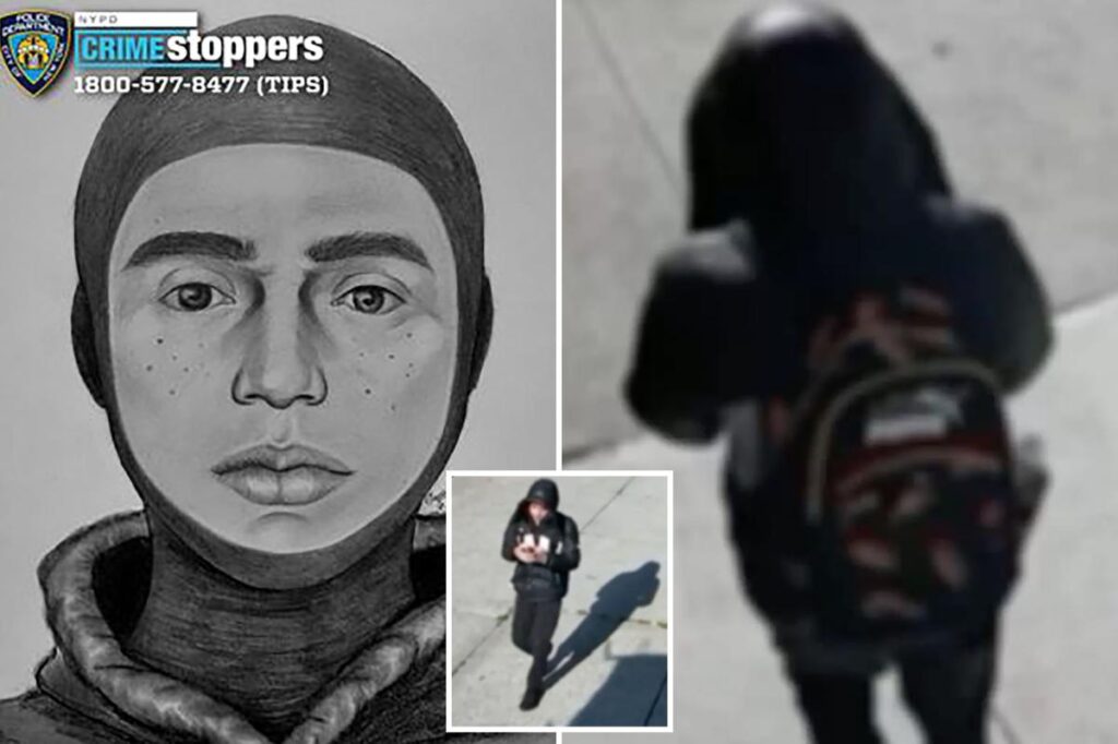 Hooded sicko rapes woman in broad daylight at Coney Island park