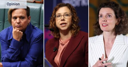 Which MPs gave lobbyists free access to parliament