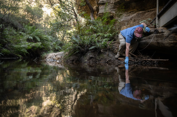 Water scientist Ian Wright from Western Sydney University takes samples at several locations around the PFAS-polluted dam Lake Medlow, near Medlow Bath in the Blue Mountains.