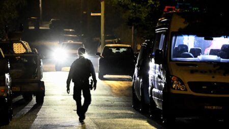Woman and two children killed in Campbelltown, south-west Sydney, domestic violence attack