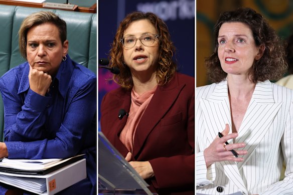 Michelle Rowland, Amanda Rishworth and Allegra Spender.