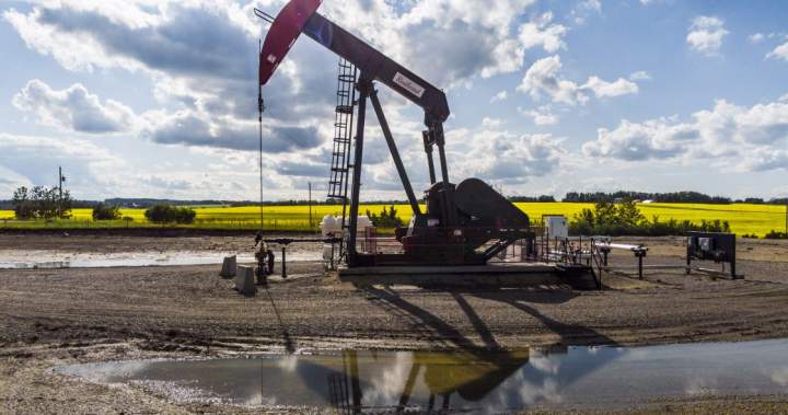 Alberta’s referendum question could ‘chill’ private investment, expert says