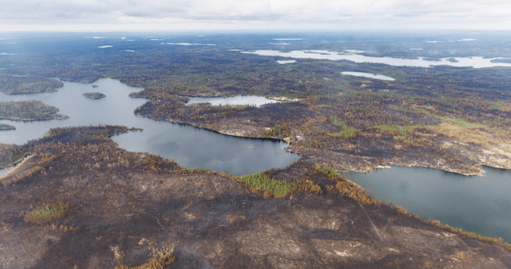Fast-moving wildfire prompts evacuation order near Shellbrook, Sask.