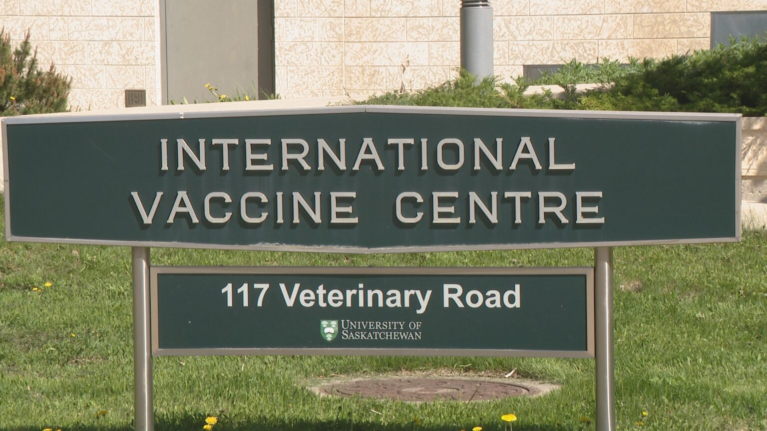 Saskatoon researchers in ‘very early stages’ of animal testing for hantavirus vaccine
