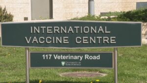 Saskatoon researchers in ‘very early stages’ of animal testing for hantavirus vaccine
